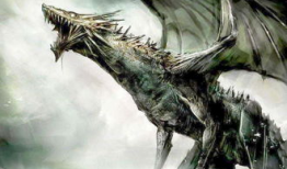 世界上有龙吗真实视频,探寻世界龙的存在之谜